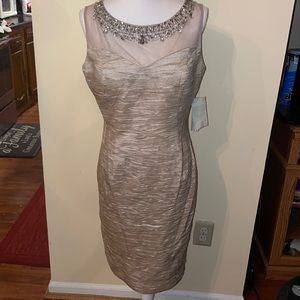 NWT dress